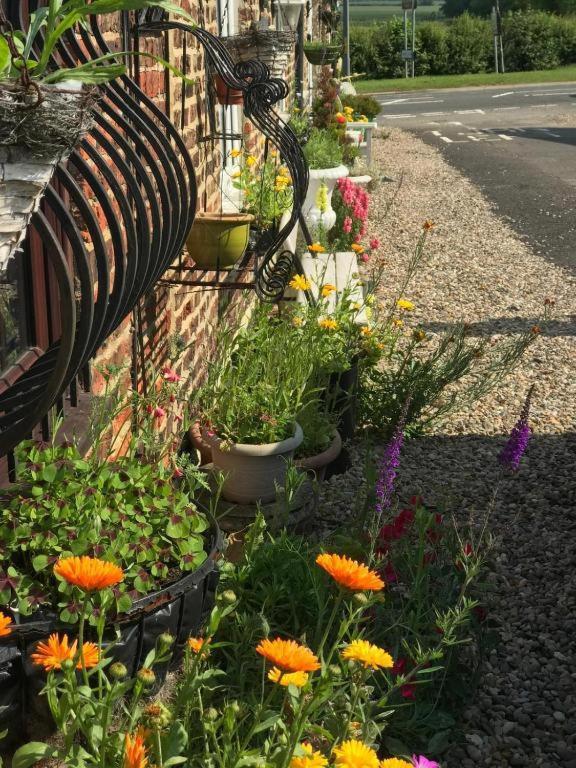 Oyo Yarm Cottages Kirklevington Eksteriør bilde